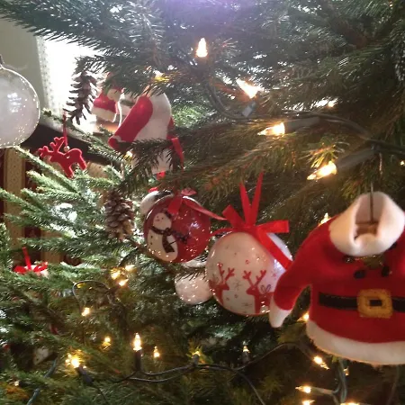 فندق مبيت وإفطار Zlote Gory - Czarna Gora 3*