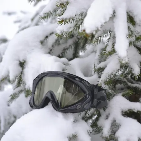 Zlote Gory - Czarna Gora ベッド・アンド・ブレックファスト