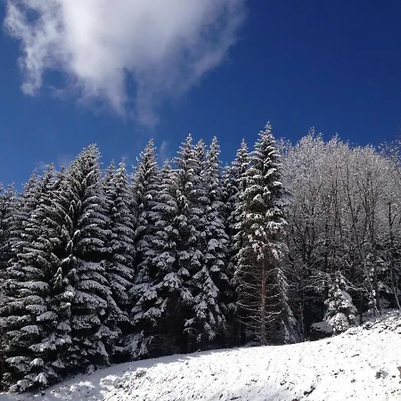 Zlote Gory - Czarna Gora ベッド・アンド・ブレックファスト シェンナ