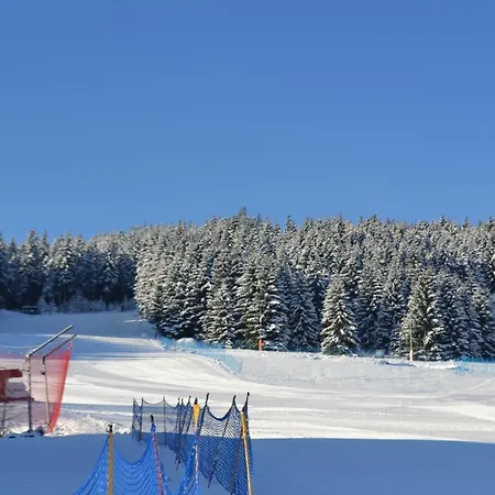 Zlote Gory - Czarna Gora ベッド・アンド・ブレックファスト