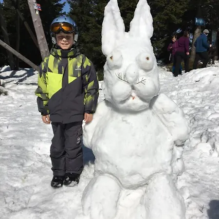 فندق مبيت وإفطار Zlote Gory - Czarna Gora 3*