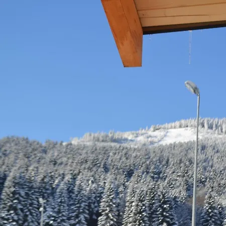 Zlote Gory - Czarna Gora 3*