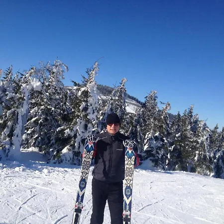 فندق مبيت وإفطار Zlote Gory - Czarna Gora سيينا