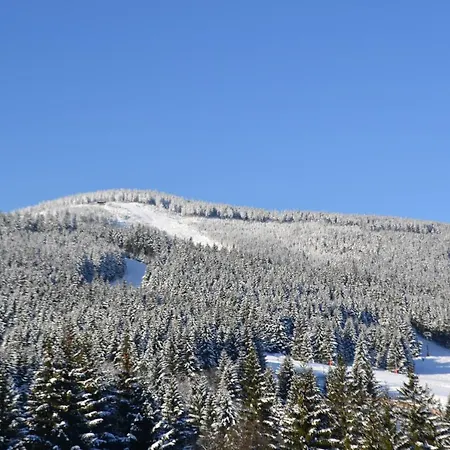 Zlote Gory - Czarna Gora 3* シェンナ