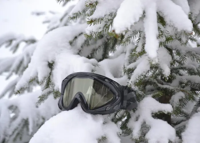 Złote Góry - Czarna Góra Alojamento de Acomodação e Pequeno-almoço
