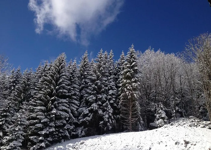 Złote Góry - Czarna Góra Alojamento de Acomodação e Pequeno-almoço Sienna (Klodzko)