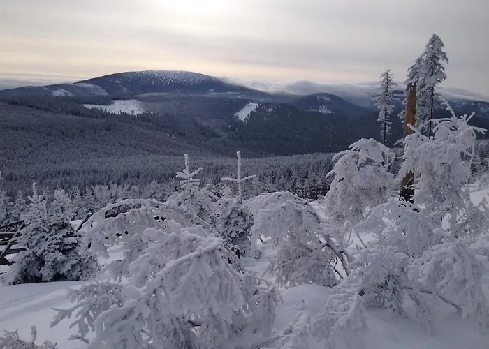 Złote Góry - Czarna Góra Sienna (Klodzko)