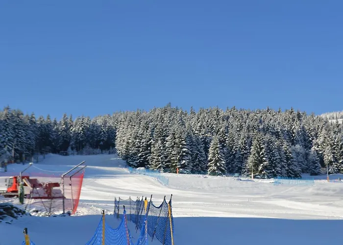 Złote Góry - Czarna Góra Alojamento de Acomodação e Pequeno-almoço