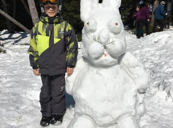 Alojamento de Acomodação e Pequeno-almoço Złote Góry - Czarna Góra 3*